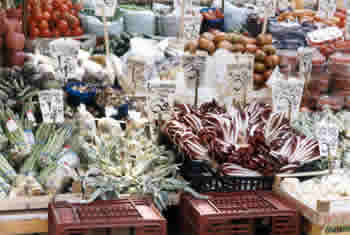 Radicchio from the Treviso region